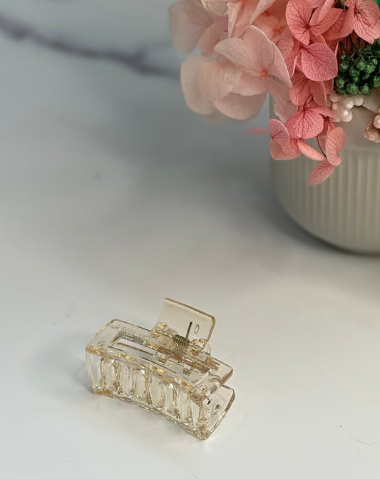 Isla Apricot Clear Mini Clip